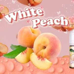 355281560_100680583084730_2013769519718564962_n-300x300.jpg 【小煙油】GENESIS 創世紀系列 口味超級多種選擇 0/30MG