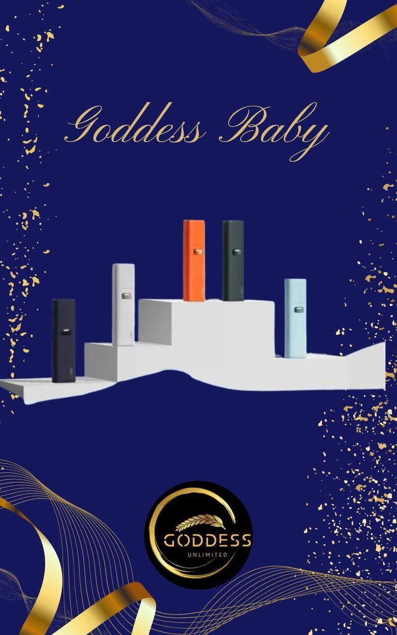 IMAGE 2025-11-24 12:20:05 【加熱煙】LEME 樂美 HNB 加熱主機 單主機